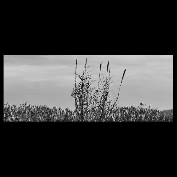 PHOTO84, CLUB, 84 , LUBERON